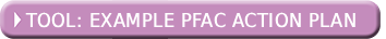 Tool: Example PFAC Action Plan
